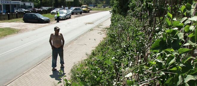 Jechał za szybko i był pijany. Dachował na zakręcie!