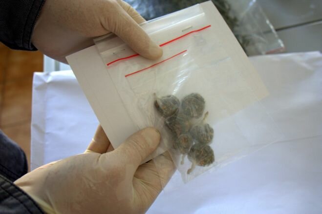 Unikał więzienia. Teraz dodatkowo posiedzi za narkotyki.