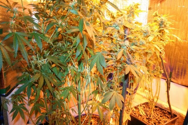 Uratowali ludzi w ostatniej chwili