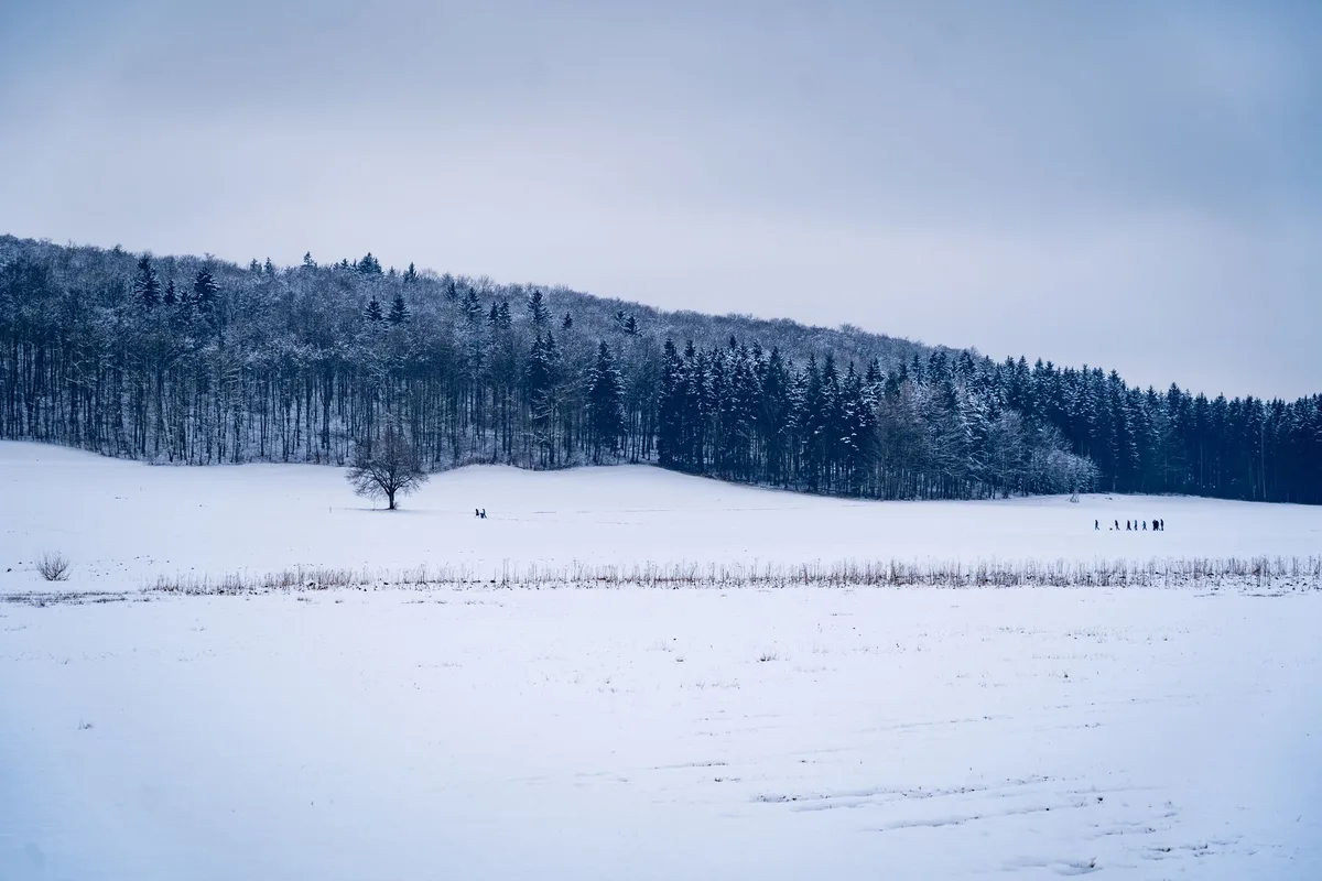 Surowy, zimowy krajobraz z śniegiem i mgłą, atmosfera chłodu i izolacji