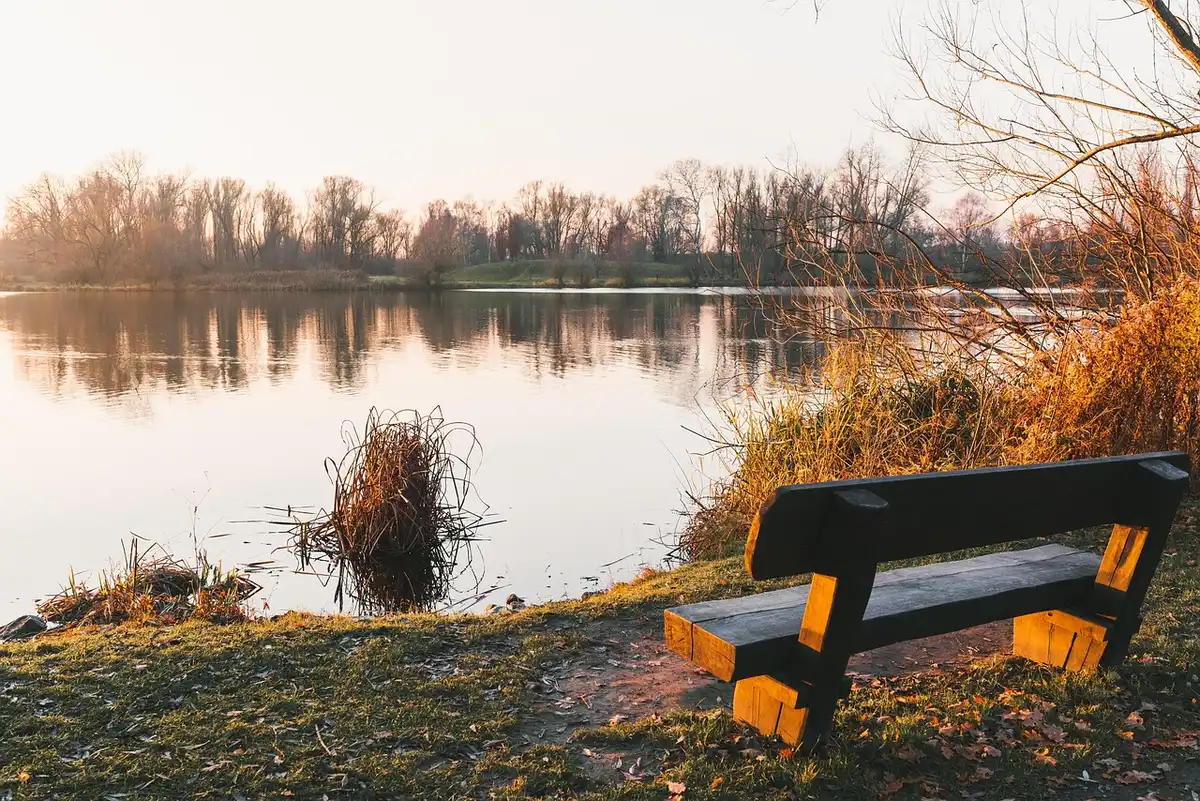 Ławka w parku Wilan&oacute;w wieczorem, miejsce pierwszego spotkania