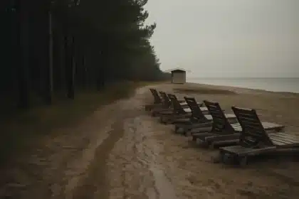 Magdalena Cielecka błyszczy w serialu Zmora