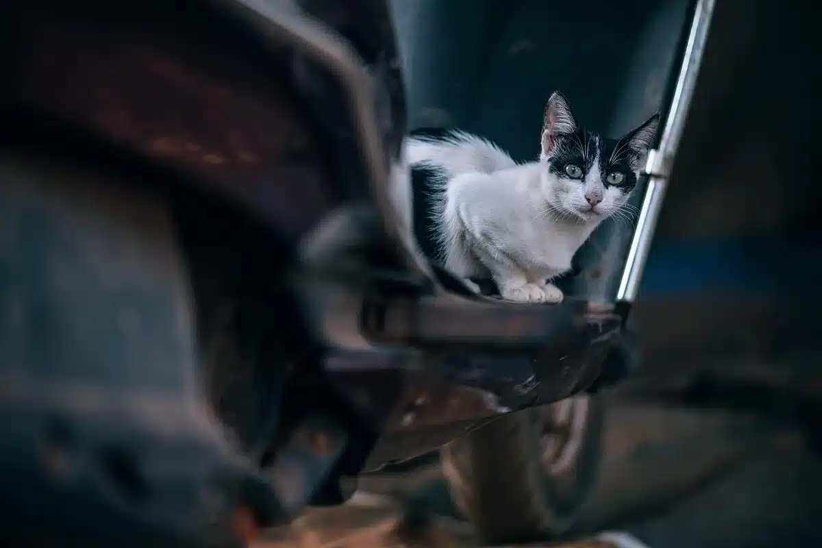 Zarys motocykla przed wiejskim barem, anonimowe postacie w kurtkach jeansowych